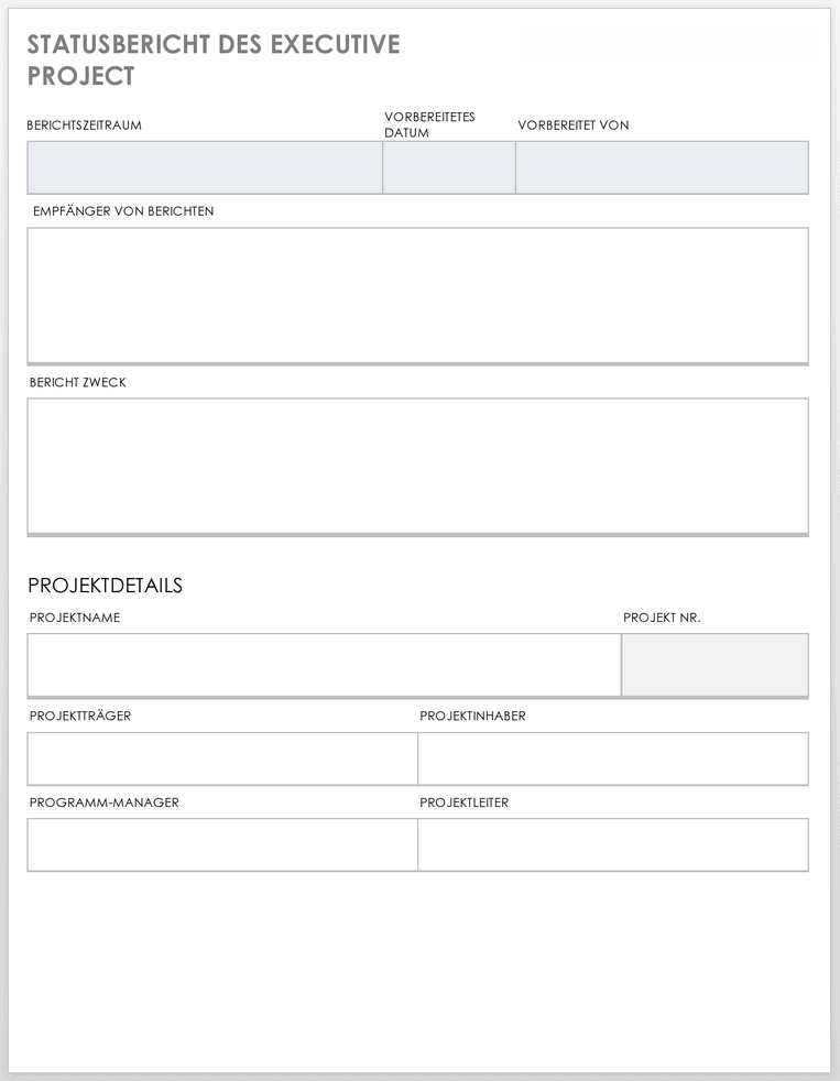 Executive Project Status Report 49475 - DE