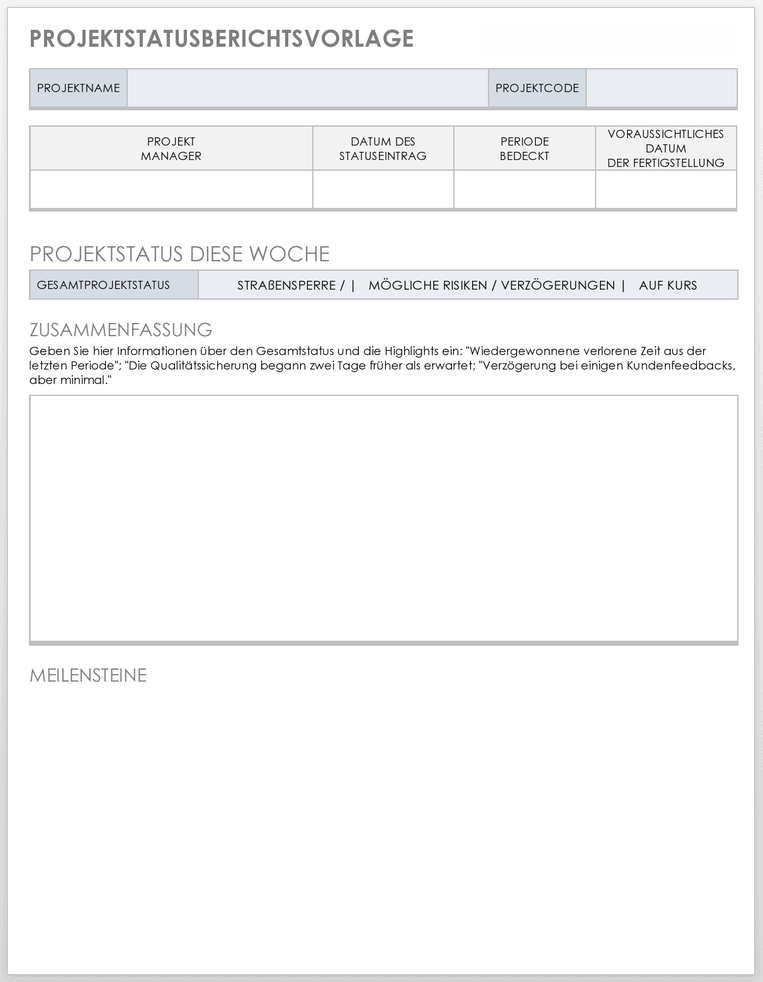 Vorlage für den Projektstatusbericht